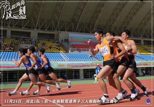 体育圈很乱天涯,乱象背后的真相与反思